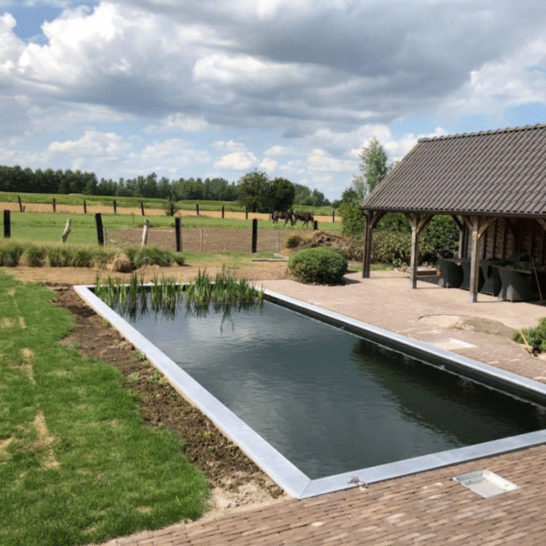 Design sans titre (34)